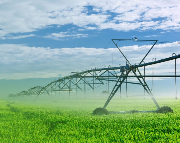 agriculture field